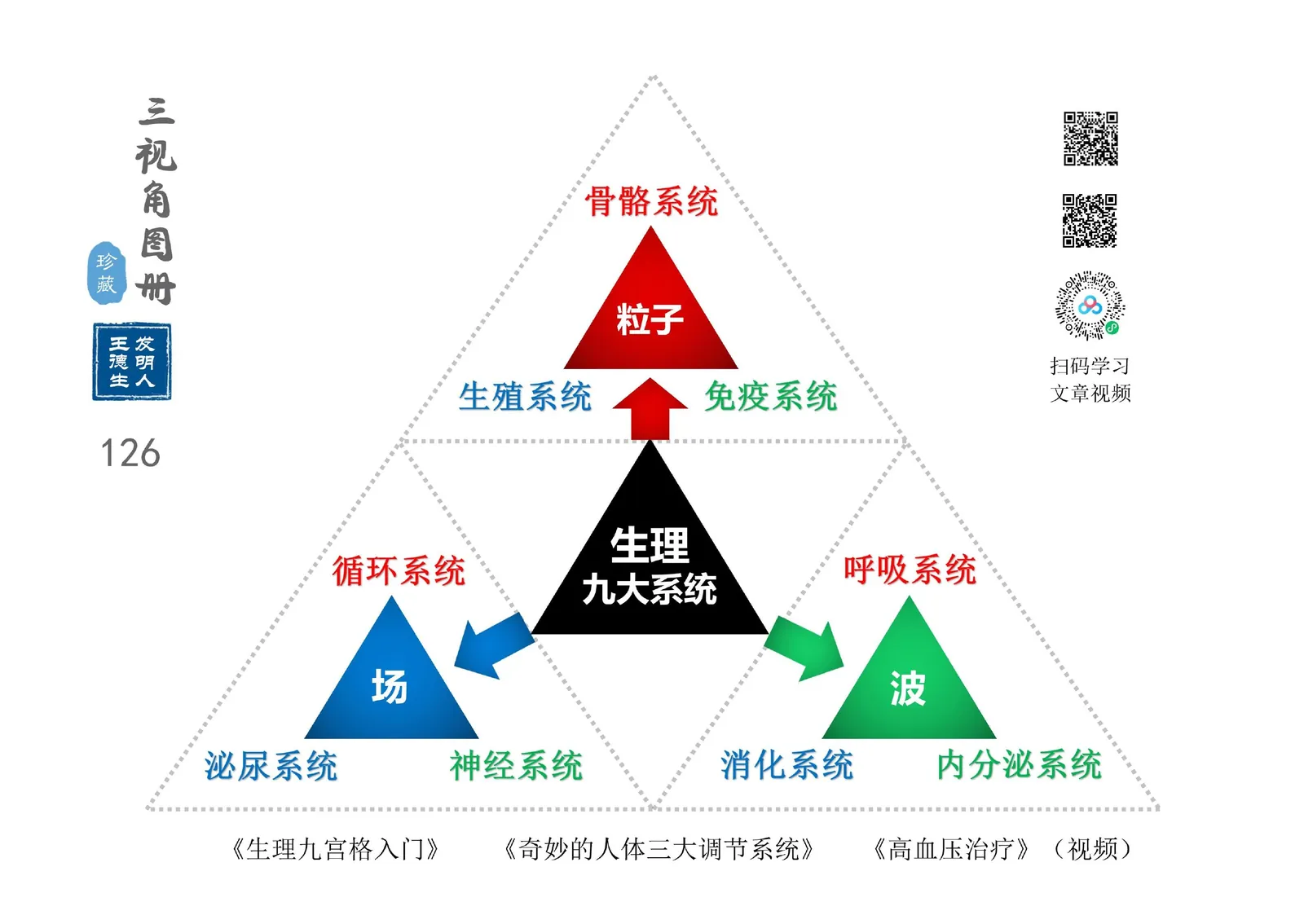 三视角图册第 126 图 生理九大系统